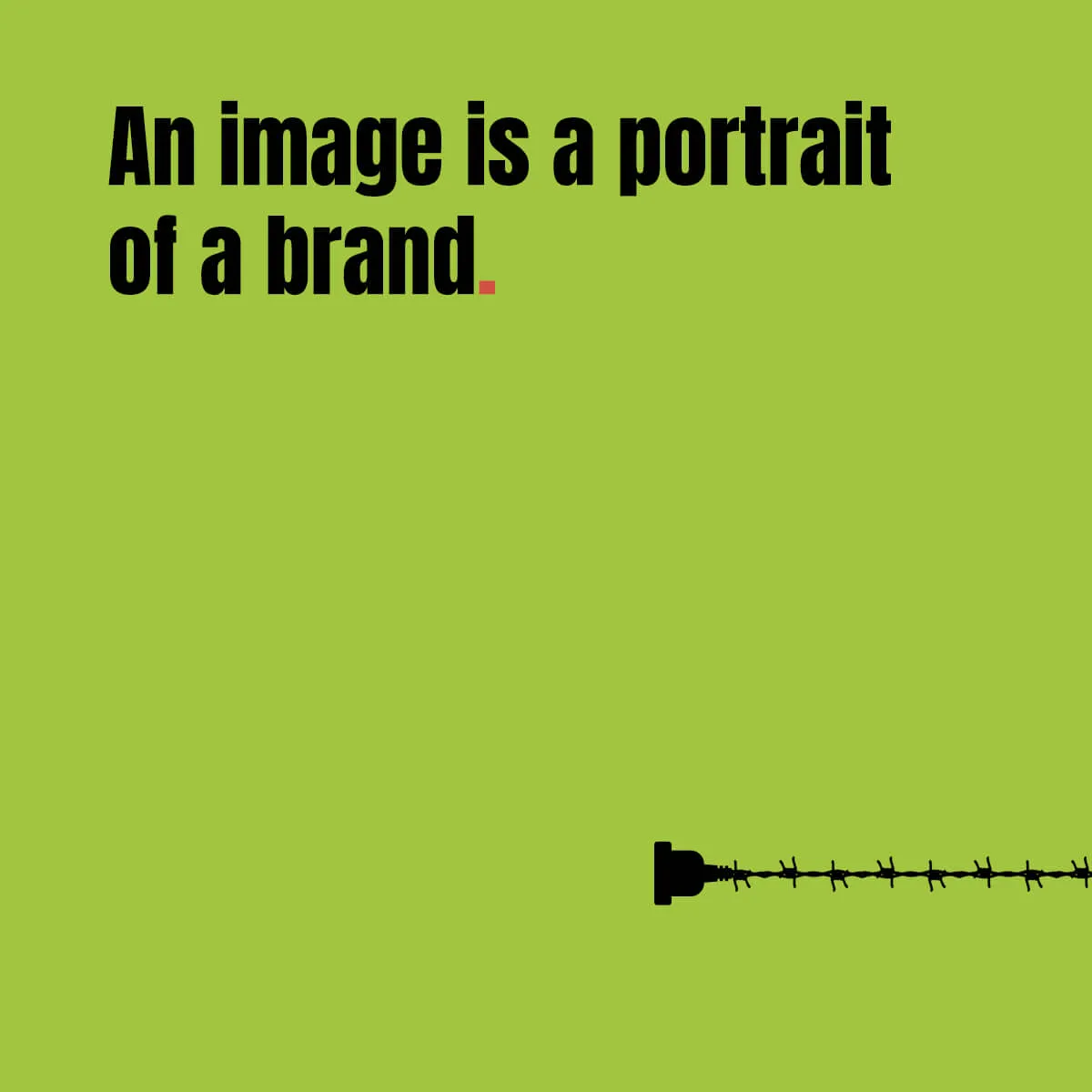 An image is a portrait of a brand.