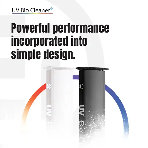 Brand design showcase 2